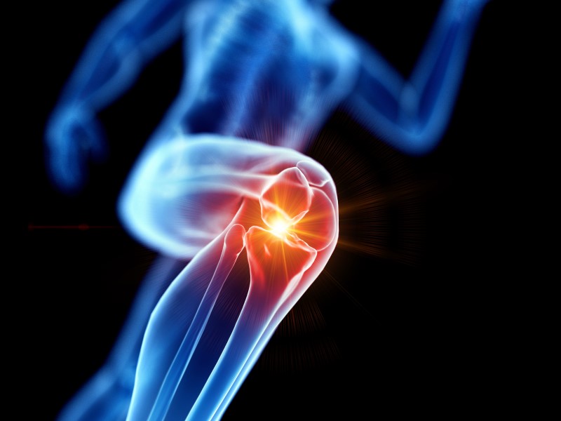 Z czego wynika ból kolana? Poznaj budowę kolana
